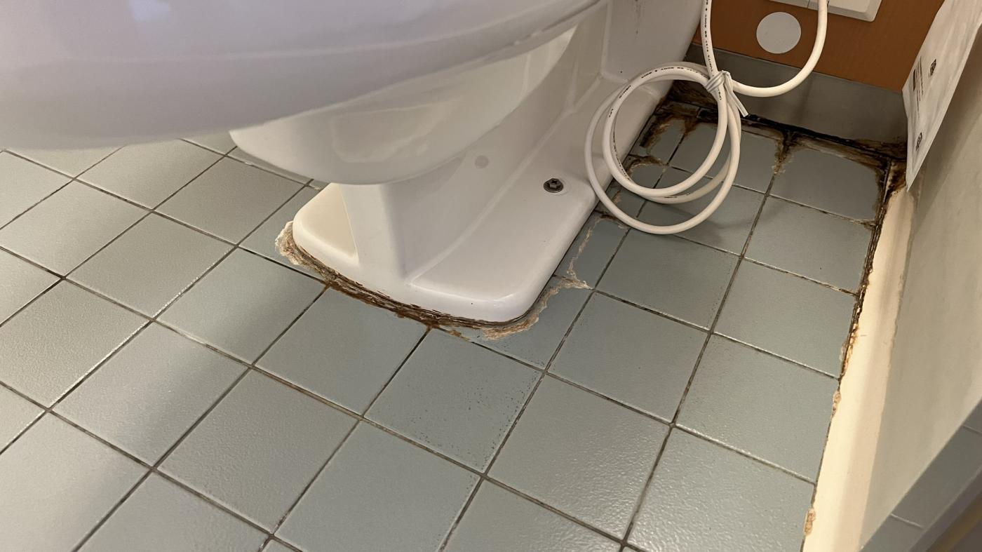 浴室特殊洗浄のアイキャッチ画像