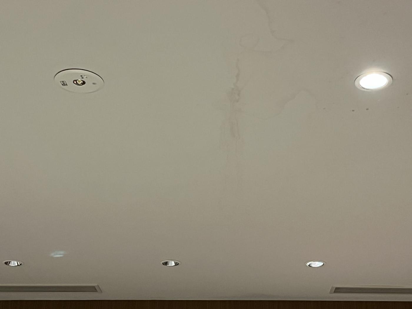 ホテルラウンジ 天井緊急補修塗装（VIP来館対応・夜間施工）のアイキャッチ画像