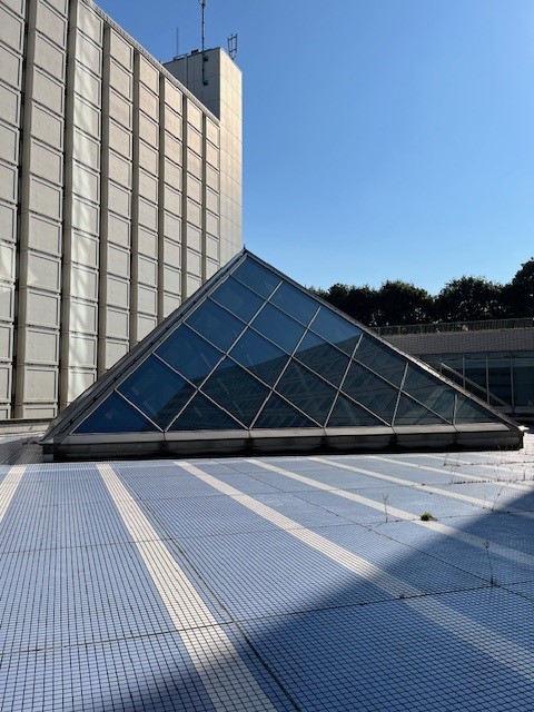 内貼りが難しい大空間に対応｜リゾートホテル・ガラス屋根の外貼り遮熱フィルム施工のアイキャッチ画像